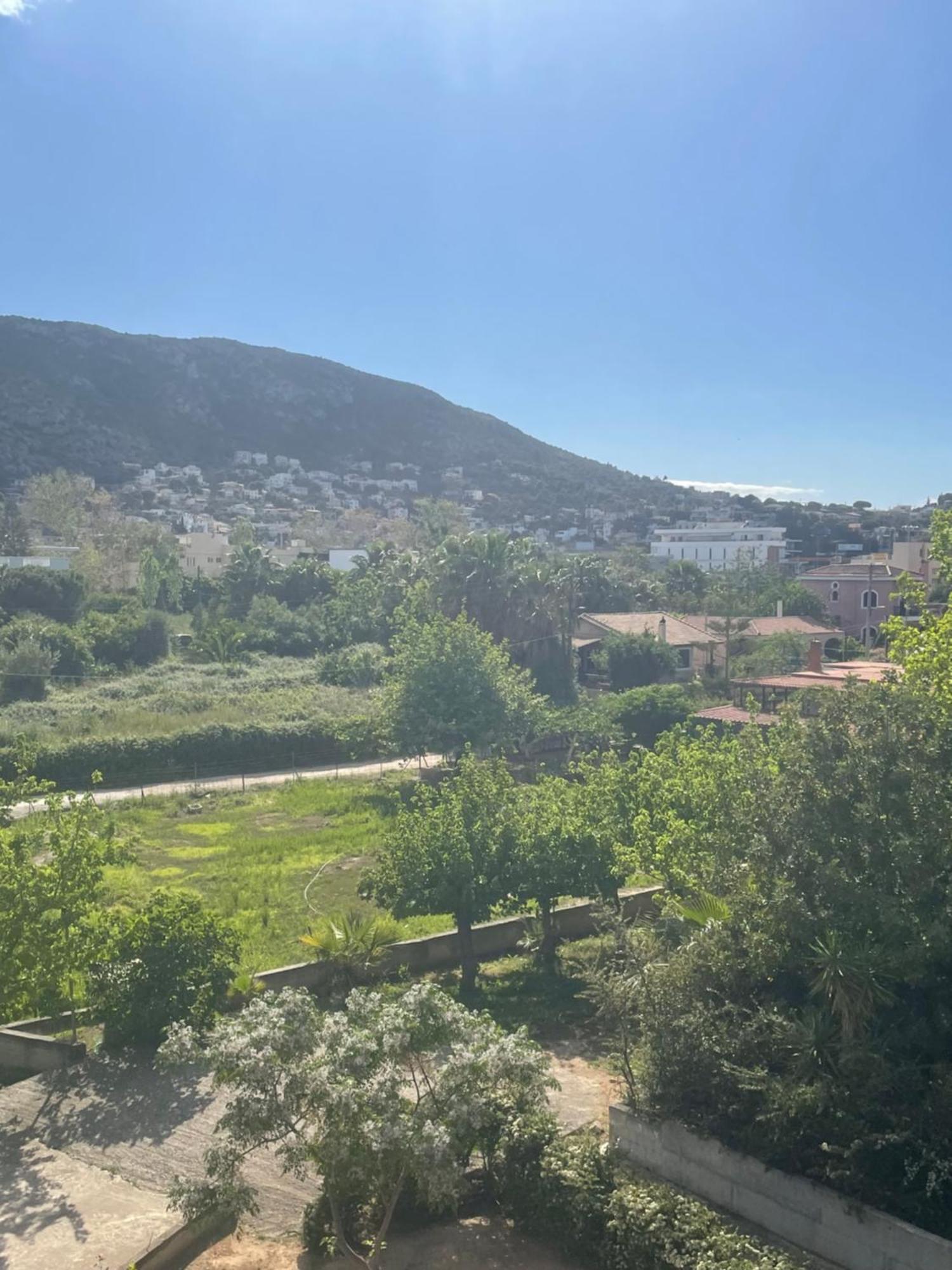 Seaside Argo Apartment Porto Rafti Exterior photo